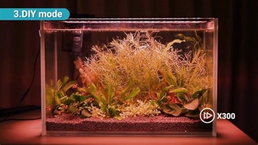 hygger Aquariumleuchte mit Fernbedienung, anpassbare Vollspektrum-LED-Aquariumleuchte, Standard- und Wettermodus, DIY-Modus für bepflanzte Süßwasseraquarien (24W (für 45-61cm))