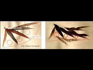 Bamboo Sumi-e Drawing 水墨画 竹 描き方