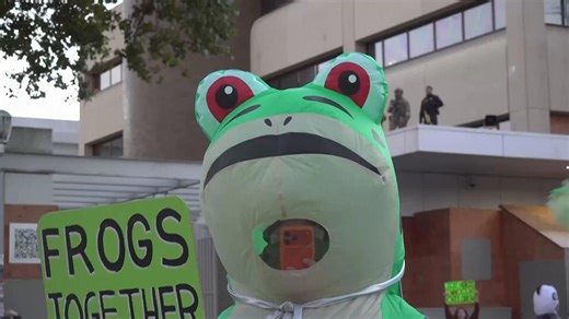 How inflatable costumes ballooned at anti-Trump rallies due to a Portland protester's frog outfit