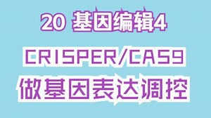 【杨觅】分子克隆案例20—Crisper/Cas9做基因表达调控
