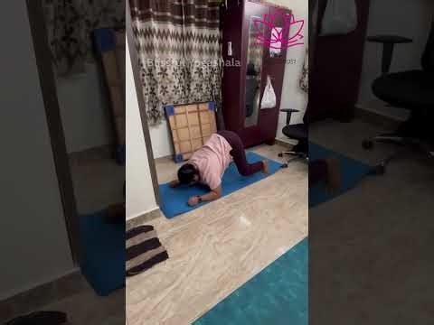 Whole-Body Strengthening Stretches | Improve Flexibility, Posture & Balance