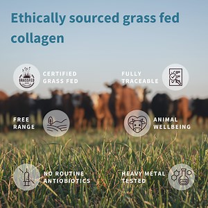 Advanced Hydrolysed Collagen Peptides – 100% Grass-fed Bovine Collagen
