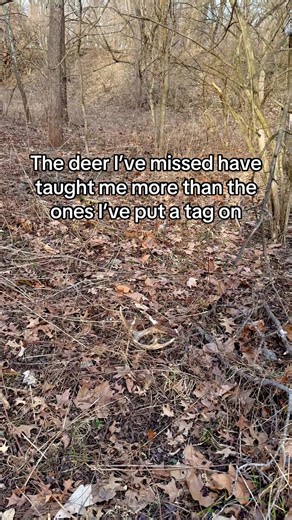 Lessons Learned from Missed Deer in Hunting