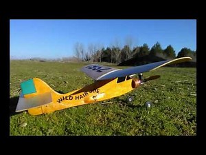 Wild Hair Joe (Ken Willard) 1954 - USA