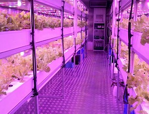 [Hot Item] 40FT Container Plant Factory Greenhouse for Hydroponic