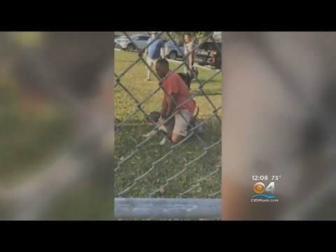 Pitbull Kills 1 Dog, Attacks Others
