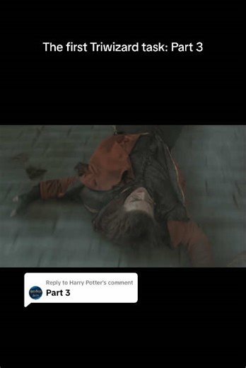 Replying to @Harry Potter if you thought school was hard, just remember that you never had to outrun a dragon #harrypotter #dragon #triwizardtournament #gobletoffire #hogwarts