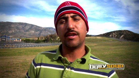 American bully - Yogi the bear