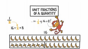 Unit Fractions of a Quantity