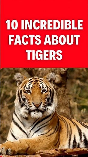 "10 Incredible Facts About Tigers" #Tigers #AnimalDocumentary #Shorts