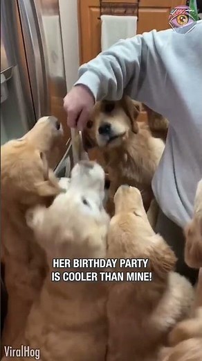 Birthday Girl with the Best Squad 🐶🎉