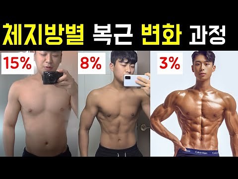 체지방별 복근변화과정 3~15%(복근만드는방법공개)