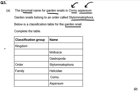Binomial Name for Garden Snail - Classification Explained