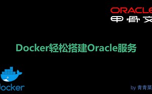 使用Docker轻松搭建Oracle服务