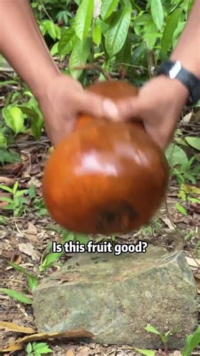 Is Gummy Worm Fruit Healthy? A Science Perspective