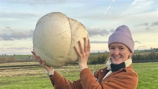Forager finds enormous 5kg mushroom to feed family for whole week