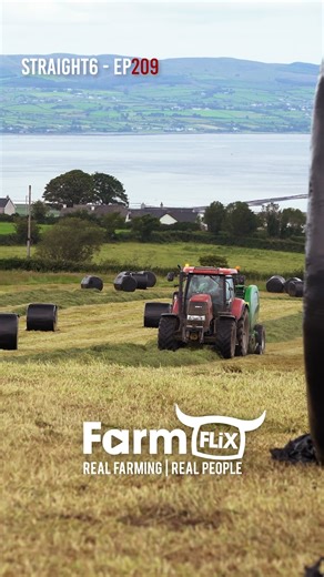 172K views · 1.3K reactions | Big plans for the piggery  #farmflix #farming #agriculture | Farmflix | Facebook