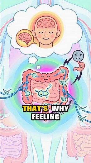 What is the enteric nervous system?