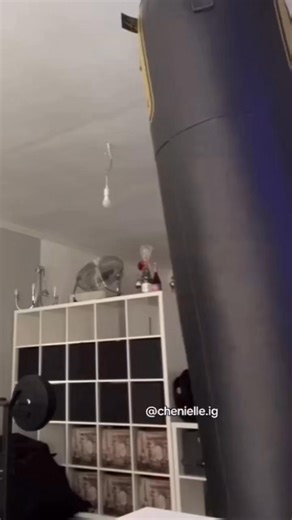 1.6M views · 37K reactions | impressive speed and good power @chenielle.ig #boxing #mma #kickboxing #muaythai #fitness #ufc #bjj #boxingtraining #fight #training #martialarts #gym #boxeo #workout #wrestling #fighter #explore #motivation #home #sport #boxer #sports #boxinggym #boxingworkout #boxingnews #fighting #grappling #calisthenics | Jonathan Male Jordao | Facebook