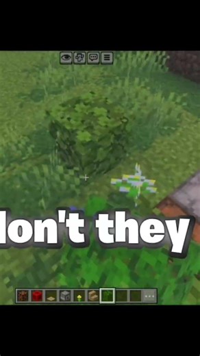 I tried a elytra launcher!