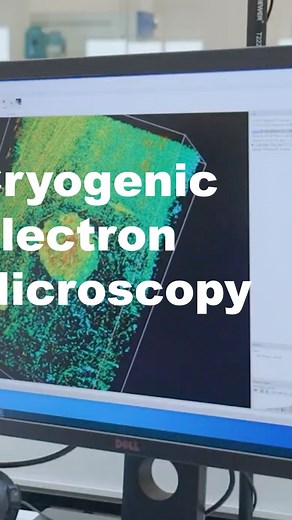 What's cryo-EM? Cryogenic electron microscopy (cryo-EM) is a revolutionary tool for studying the molecular architectures of proteins, viruses, cells and the specialized molecular machines within cells. To learn more about how cryo-EM works, from preparing samples to capturing atomic images and using them to help create treatments for disease. | SLAC National Accelerator Laboratory