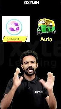 ഈ ചിത്രങ്ങൾ മനസ്സിലാക്കി പഠിക്കാനുള്ള Trick !!