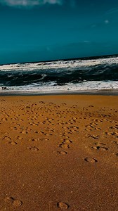 Thanks 2024! Bring on more beaches 2025! | I Love The Beach Trips