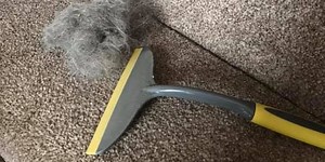 Clever cleaning hack reveals how a £1.80 window ﻿﻿squeegee can remove carpet hair
