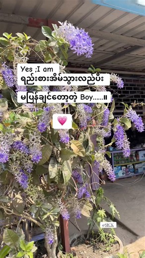 #fyppppppppppppppppppppppp #အမေရောမြင်ပါစေ ❤️