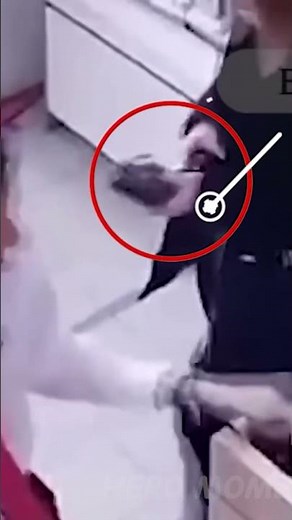 Real Life Superheroes Caught Saving People On Camera # 8
