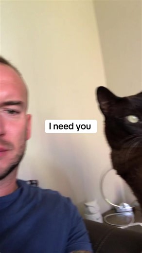 Elmo & Levi on TikTok