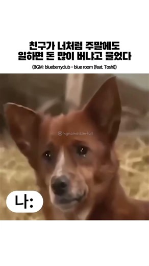 친구가 너처럼 주말에도 일하면 돈 많이 버냐고 물었다 (BGM: blueberryclub - blue room (feat. Toshi))