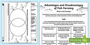 Advantages and Disadvantages of Fish Farming Activity