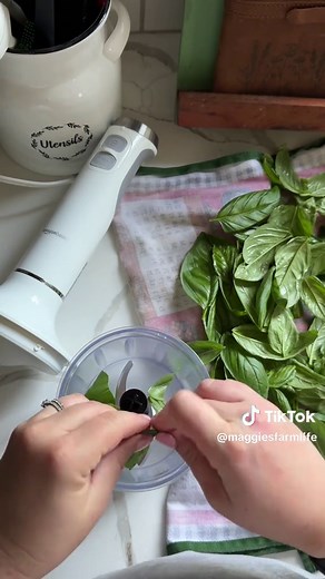 DIY Basil Pesto Recipe from Fresh Herbs