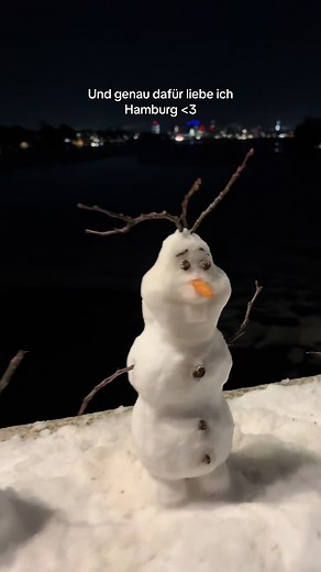 Discover the Charm of Hamburg in Winter