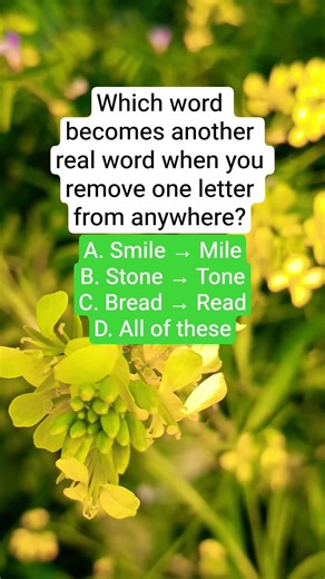 Which word becomes another real word when you remove one letter from anywhere?