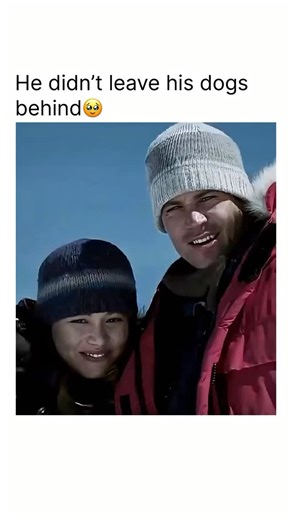 Movie Era on Instagram: "A frozen wilderness, a loyal pack, and a story of survival beyond the limits.⁠ 🎬 About: Eight BeloW (2006)⁠ When a brutal Antarctic storm forces guide Jerry Shepard and his team to evacuate their research base — leaving behind their beloved sled dogs — the dogs must endure months alone in the icy silence. Against all odds, their fight for survival becomes a testament to loyalty, courage, and the ties that refuse to be broken.⁠ 🎭 Genre: Adventure, Drama, Family⁠ 🎥 Watc