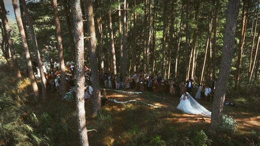 Treehouse Story on Reels