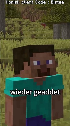 Niemand redet über diesen Skin wechsel #shorts #minecraft