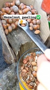 Hazelnut peeling #hazelnut #nuts #hazelnutpeeling | Shirley Chavez Mendoza