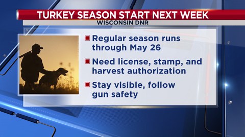 Wisconsin spring turkey season to open on Wednesday