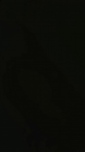 Style a Nirvana t-shirt with me! 🫠 . . . #fyp #diy #graphictee #nirvana #fashionhack | Bridget Sawyer