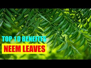 Neem Leaves Benefits – Neem Health Benefits for Skin | Hair Oil and Juice for Face Growth