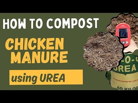 How to Compost Chicken Manure using UREA