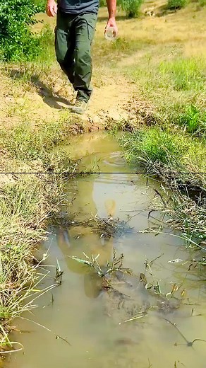 Ep 50 - Survival Skills Amazing Dirty Water Purification Filter. #survival #camping #lifehacks