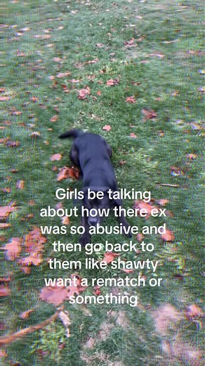 #fyp #blacklab