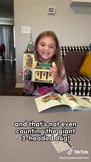 LEGO Harry Potter Hogwarts Fluffy Encounter Set Review