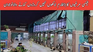 Birds castle farm//biggest modern fancy poltry farm | Asim Faiz