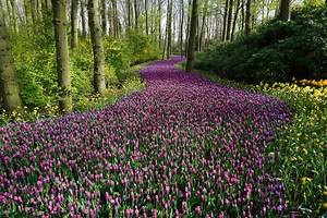 Spring is finally here - when temperatures are set to rise this week