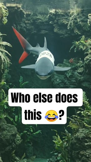 Who Will Win? #race #racing #fishtank #funnyfish #shorts